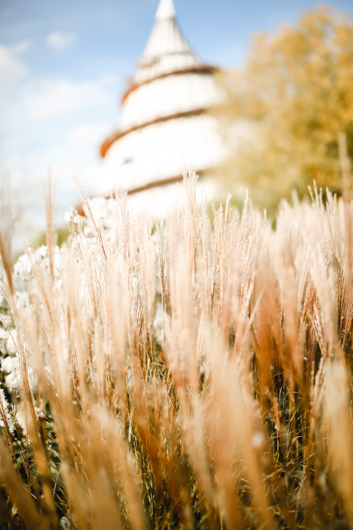 138A8653-Elbauenpark