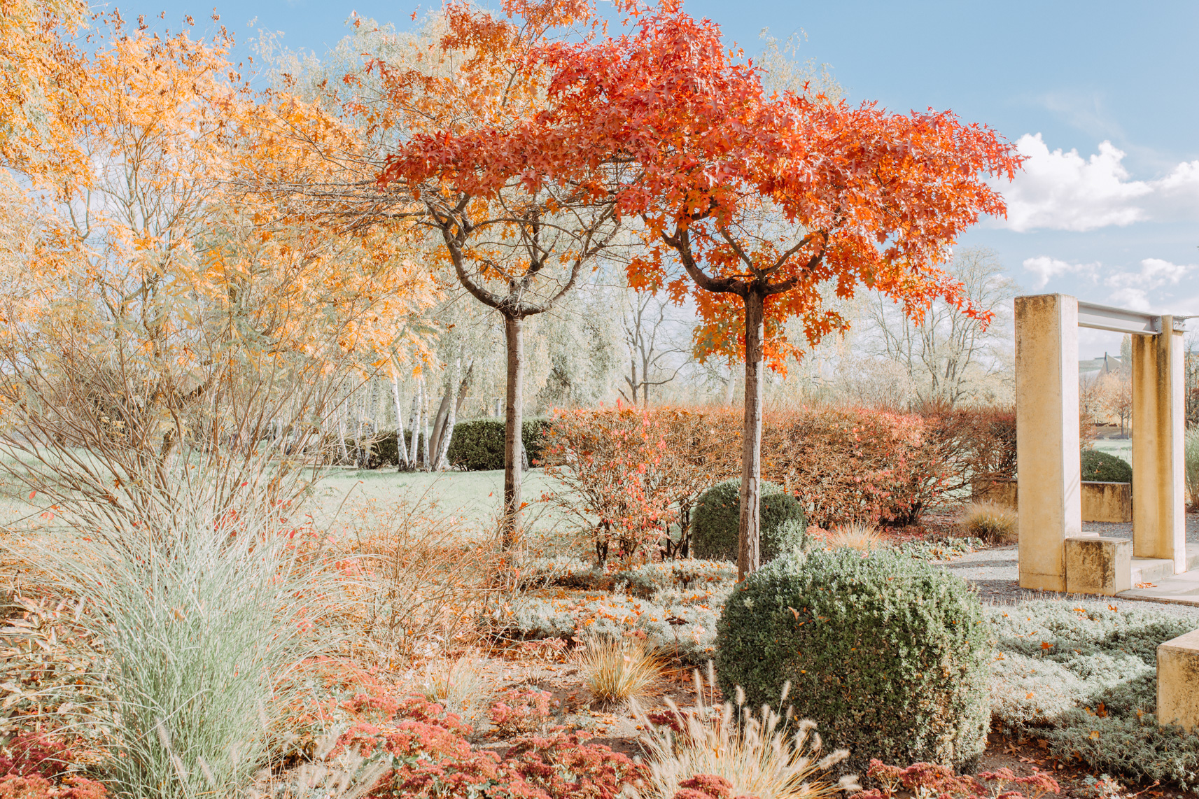 FLF10168-Elbauenpark