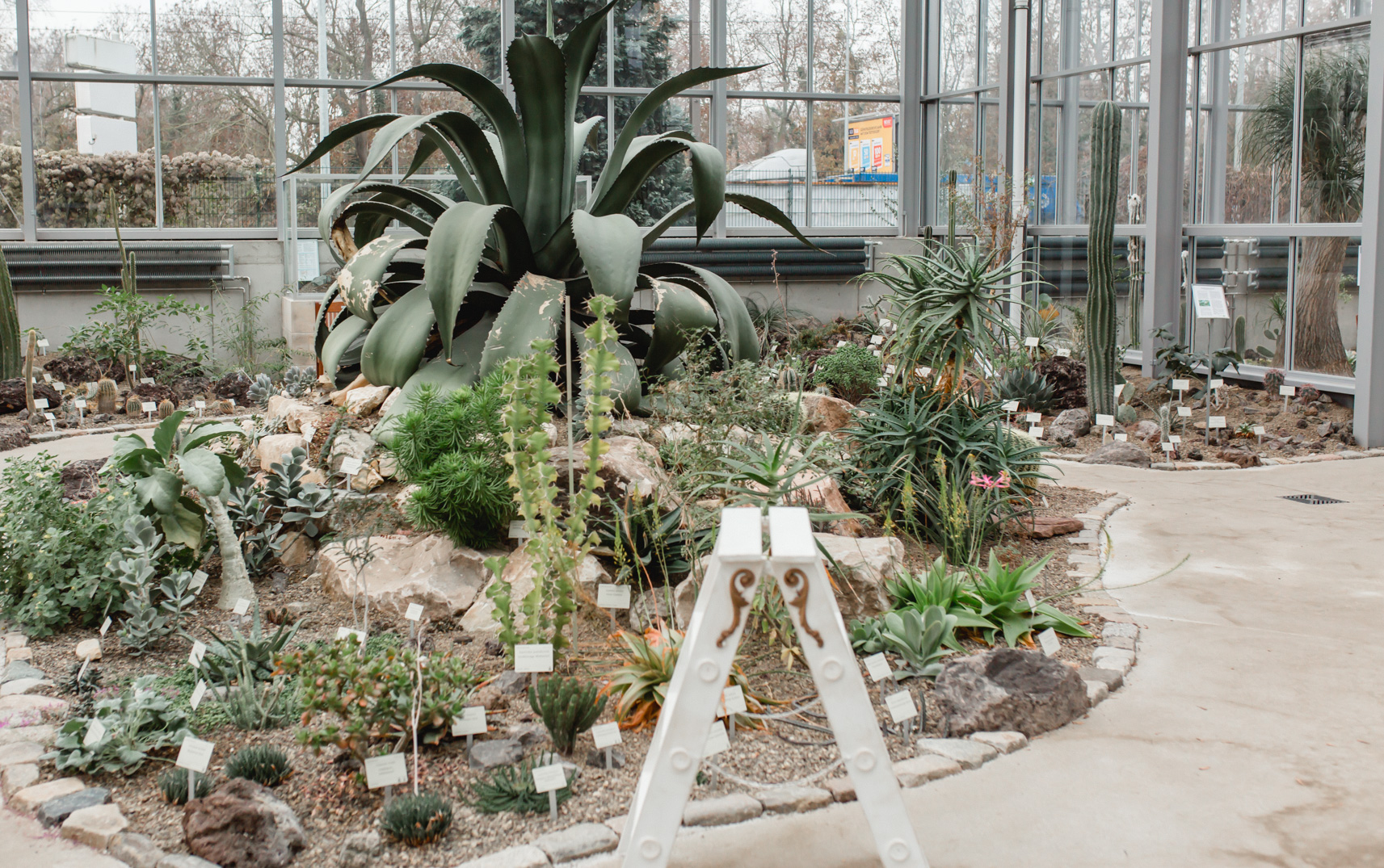 FLF11042-Gewächshaus