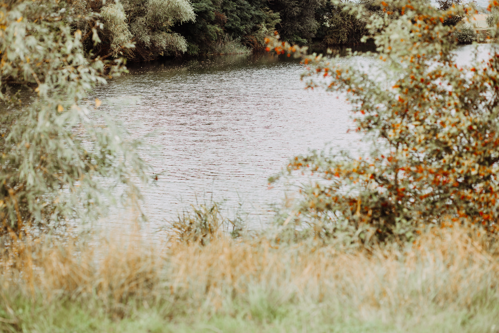 FLF11173-Ostfahlenpark