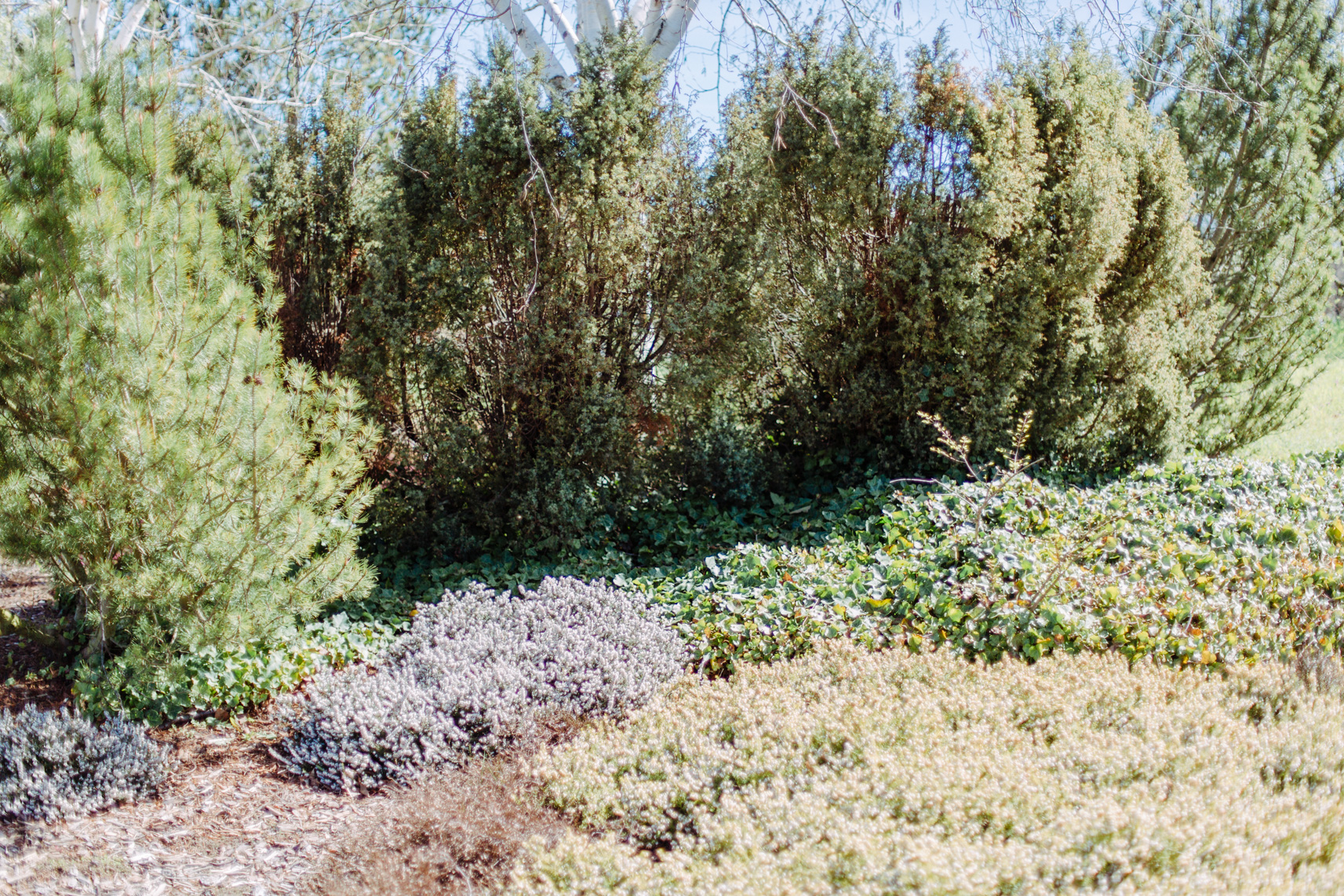 FLF11237-Elbauenpaark