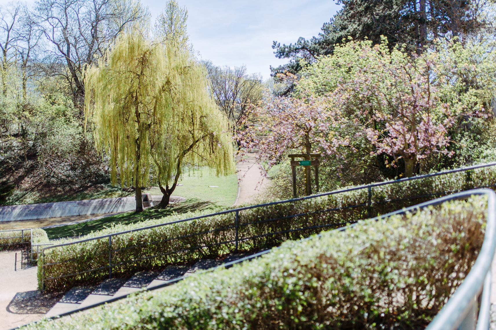 FLF11324-Geschwister Scholl Park