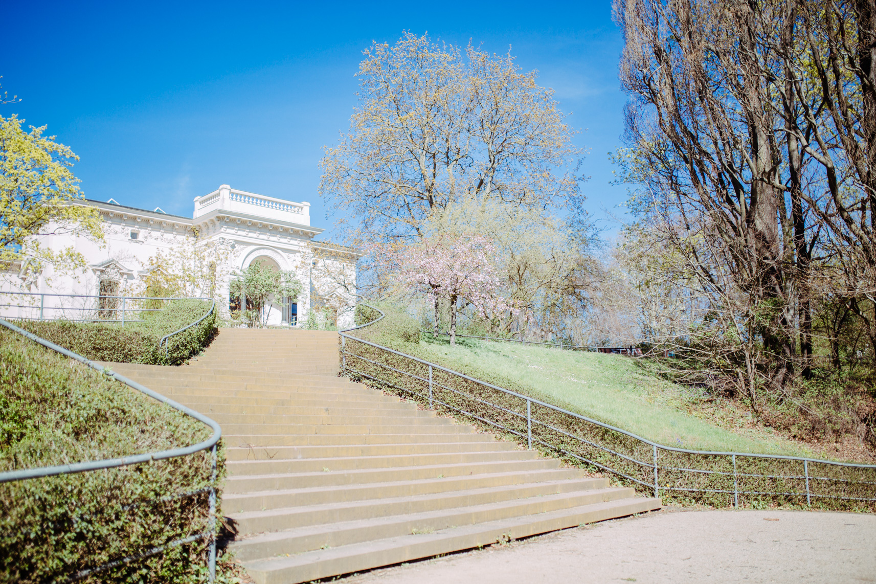 FLF11343-Geschwister Scholl Park