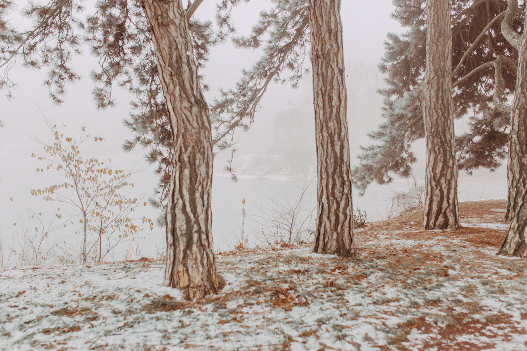 FLF12309_Stadtpark im Winter