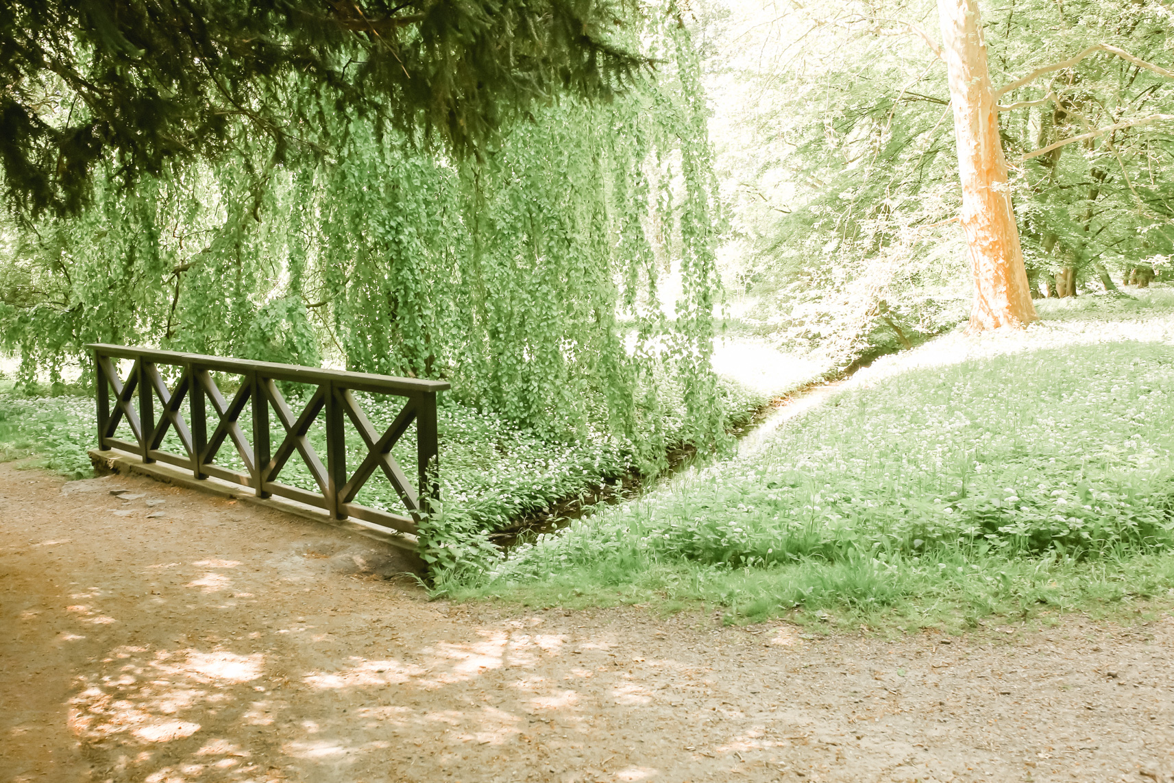 FLF12316-Hundisburg Haldensleben-Bearbeitet