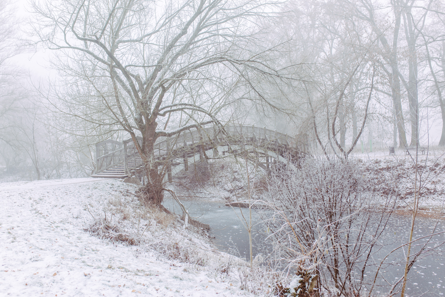FLF12441_Stadtpark im Winter