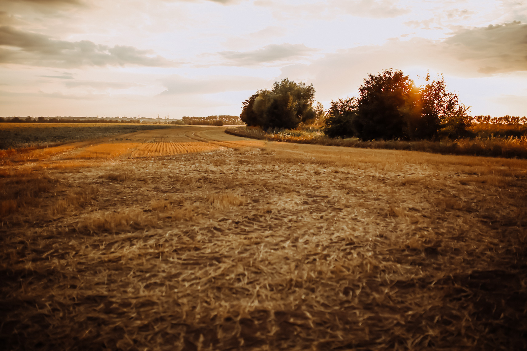 FLF18407-Ostfahlen Park