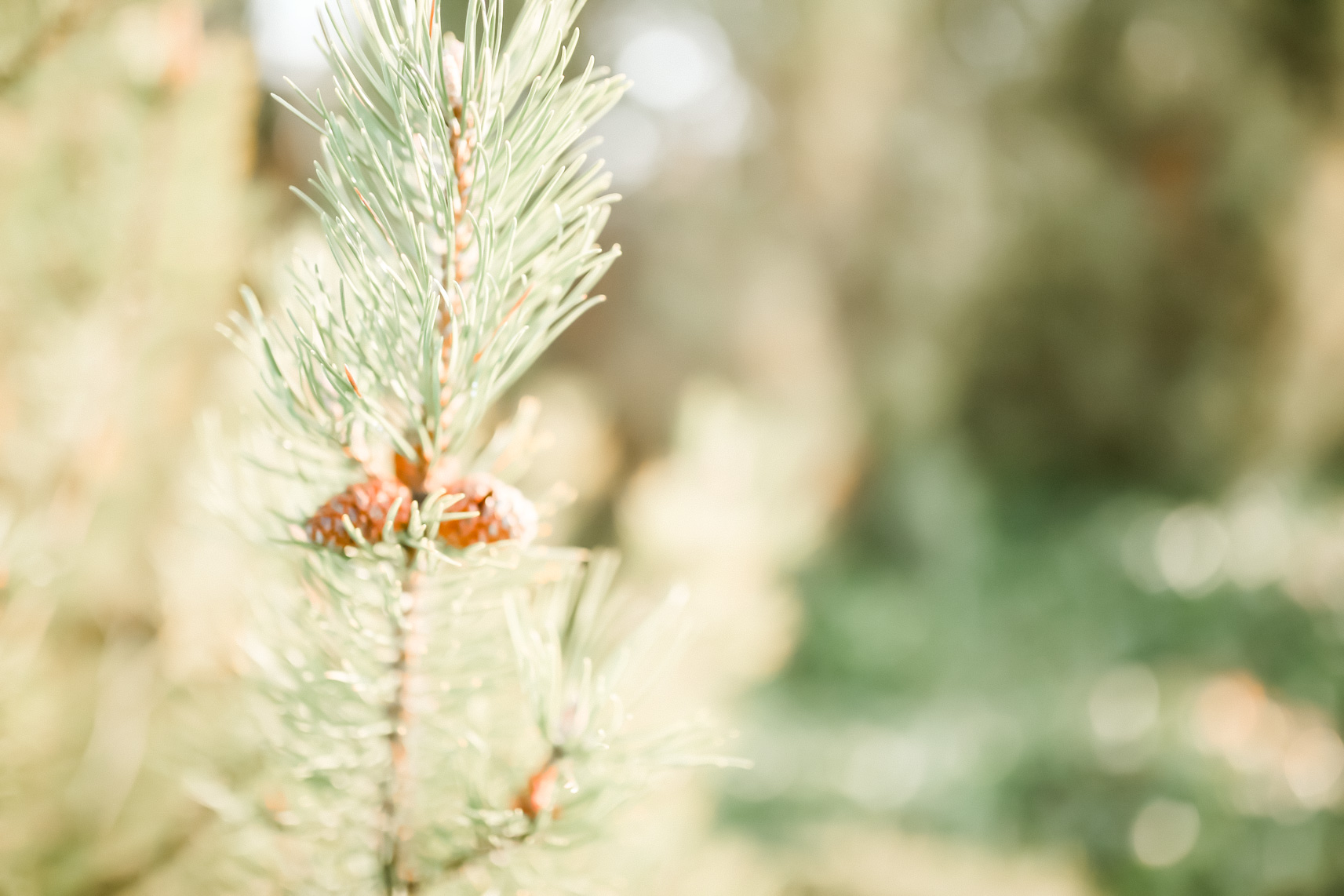 FLF18801-Elbauenpark