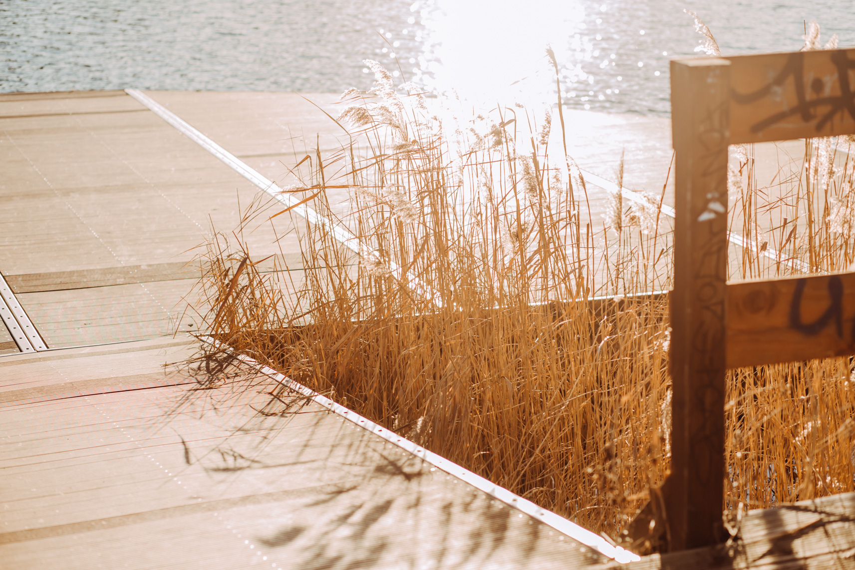 FLF19998_Kulk Gommern