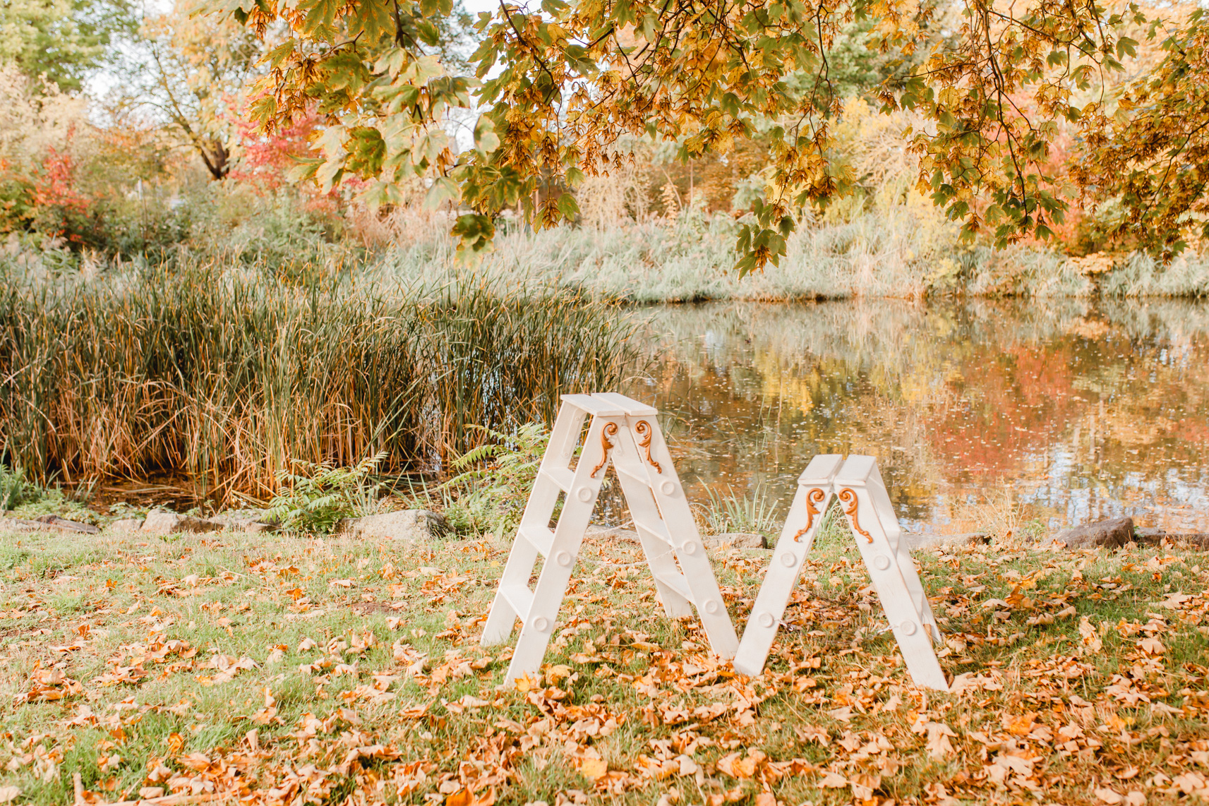 IMG_5689-Ottersleber Teich