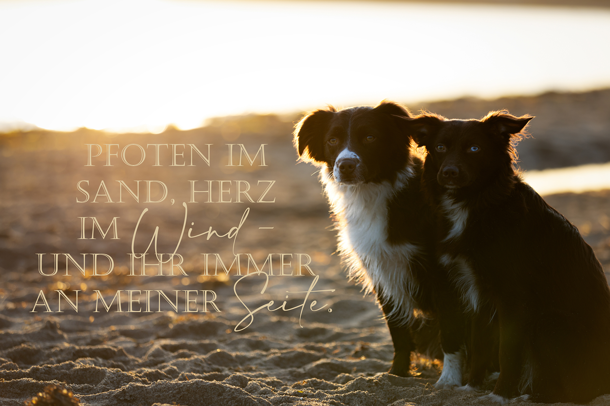 IMG_1276-Bearbeitet_Spruch